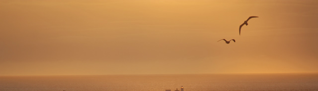 Farne Islands seen from Bamburgh